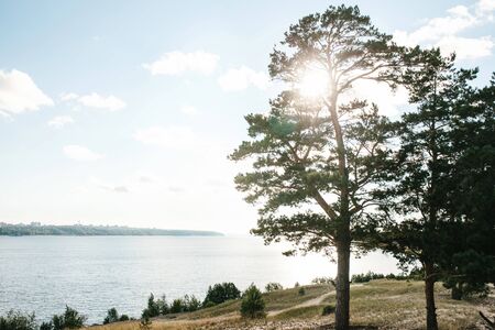 Natural landscape. View of the sea or river or pond and trees on the shore.の写真素材
