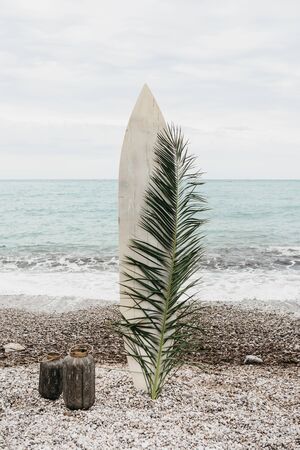 Surfboard and palm leaf on the seashore as decoration. Summer design or concept. Sports by the sea or surfing.の写真素材