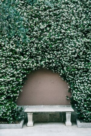 Marble bench against the wall with an arch of flowers.の写真素材