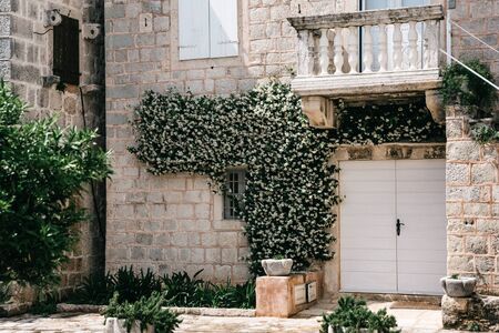 The front door to the house is twined with plants or flowers. Ornamental plants at the entrance to the dwelling.の写真素材