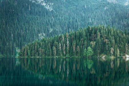 Beautiful view of the forest with reflection in the water and a lake called Black Lake in Montenegro.の写真素材