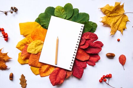 Empty notepad for writing on an autumn background of colored leavesの写真素材