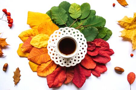 A cup of black tea on the background of colorful leaves, acorns and rowan berry. Autumn design.の写真素材