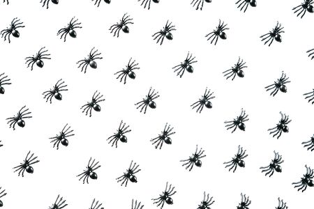 Black spiders on a white background. Halloween celebration background.の写真素材