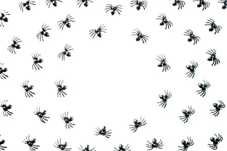 Black spiders on a white background. Halloween celebration background.の写真素材