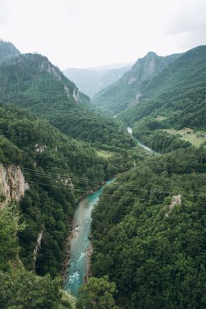 Beautiful view of the natural landscape in the canyon of the Tara River in Montenegro. View of the mountains and the forest and the river.の写真素材