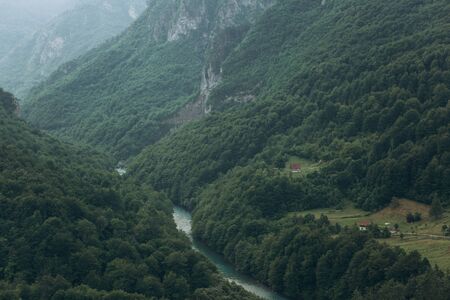 Beautiful view of the natural landscape in the canyon of the Tara River in Montenegro. View of the forest and the river.の写真素材
