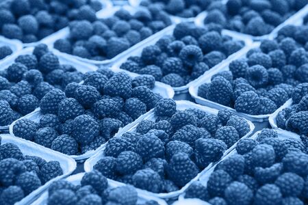 A lot of blackberry or raspberry in pans in a trendy classic blue color.