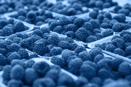 A lot of blackberry or raspberry in pans in a trendy classic blue color.の写真素材