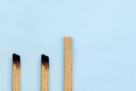 Palo Santo sticks on a blue background. They are used in aromatherapy and religious rites and meditations.の写真素材