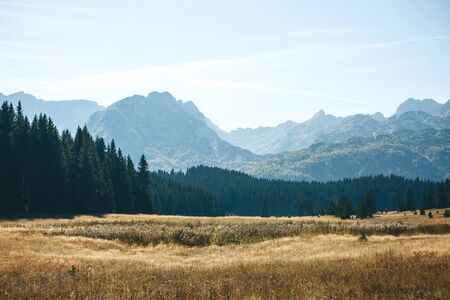 Beautiful natural autumn landscape in Montenegro. Mountains, forest and field against the blue sky.の写真素材