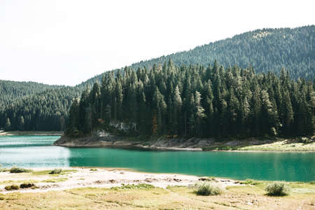 Beautiful view of the lake called Black Lake against the background of the forest in Montenegro. Natural landscape.の写真素材