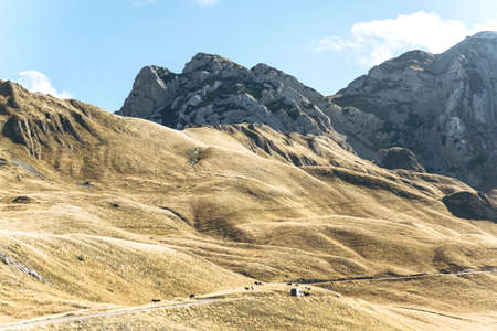 Beautiful natural landscape in Montenegro. Mountains against the blue sky.の写真素材