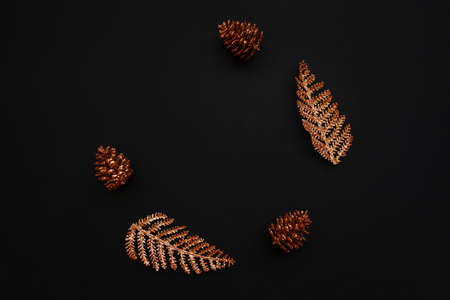 Cones and branches on a black background. Christmas minimal background.の写真素材