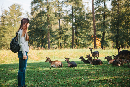 Young beautiful travel girl with backpack looking at wild reindeer grazing in the distanceの写真素材