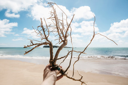 The girl holds in her hand an abstract dry branch against the background of the sea.の写真素材