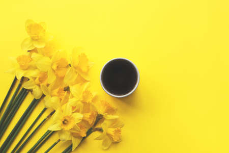 Many yellow daffodils and cup of black coffee on yellow background. Top view, copy space for text. Spring greeting card.の写真素材