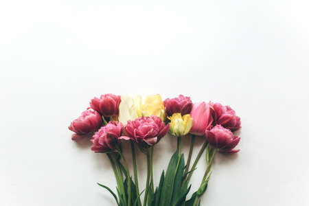 Bouquet of pink tulips on a white background. Festive background, flat layの写真素材