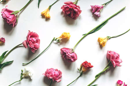 Bouquet of pink tulips and colorful freesias on a white background.の写真素材
