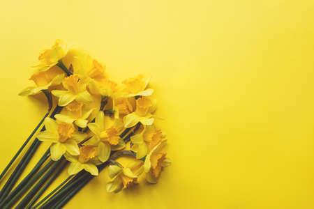 Holiday greeting card, spring background.の写真素材
