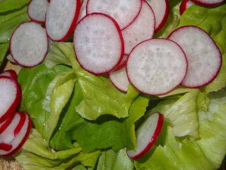 Close-up of lettuce with slices of radishes on the topの写真素材