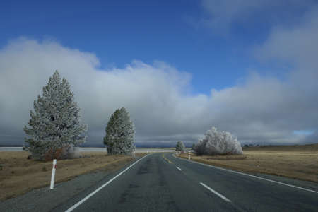 Scenic road through a magical winter landscape with frosted firs and grass and blue skyの写真素材