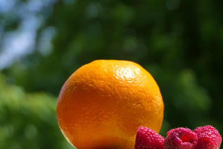Juice ingredients - closeup ripe orange and raspberries on a green backgroundの写真素材