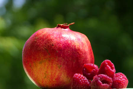 Closeup of mature sunlit pomegranate and raspberries on a green backgroundの写真素材