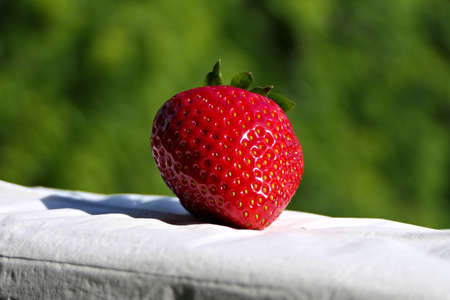 Closeup fresh sunlit strawberry outdoors on a green backgroundの写真素材