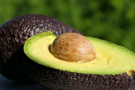 Closeup whole avocado and one cut in half with stone on a green backgroundの写真素材