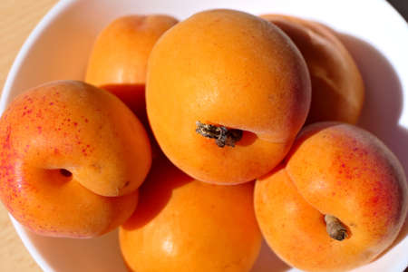 Closeup group of ripe fresh and sunlit apricots in a white bowlの写真素材