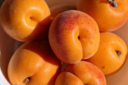 Macro shot of healthy and vitamin-packed organic apricotsの写真素材