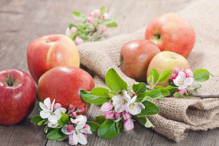 Apples on wooden tableの写真素材