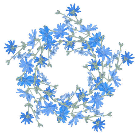 Circle pattern with chicory. Round kaleidoscope of flowers and floral elements. Wreath. Design card.のイラスト素材