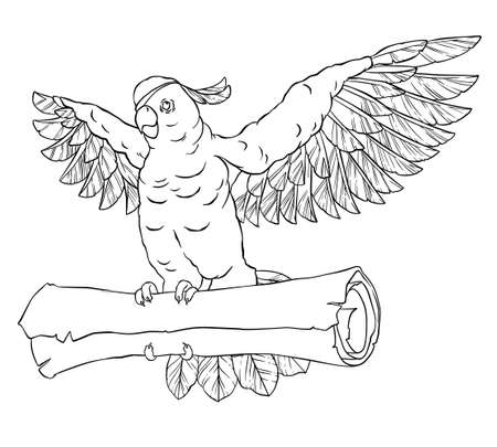 Pirate parrot in flight with outstretched wings and the coin in his pawsのイラスト素材