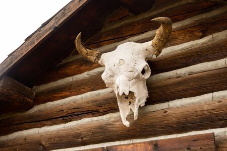 Skull above a wooden cabin, Wyoming, USAの写真素材
