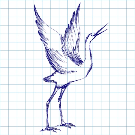 crane birdのイラスト素材