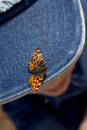 Butterfly on the boy's cap in summerの写真素材