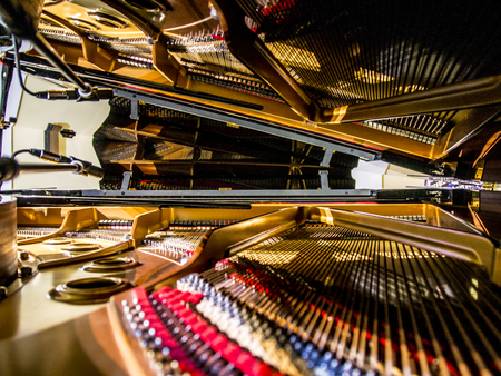 The internal parts of the great strings of the piano with hammer and stringsの写真素材