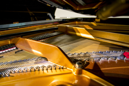 The internal parts of the great strings of the piano with hammer and stringsの写真素材