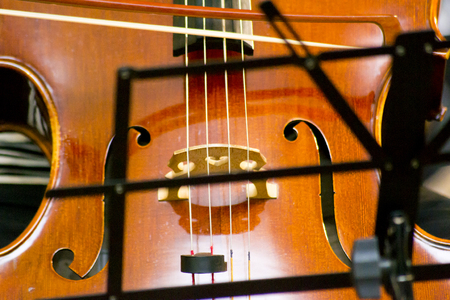 Classical music professional cello solo performance, hands up close, unrecognizable personの写真素材