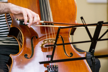 Classical music professional cello solo performance, hands up close, unrecognizable personの写真素材