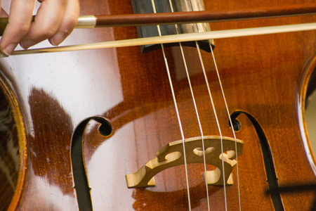 Classical music professional cello solo performance, hands up close, unrecognizable personの写真素材