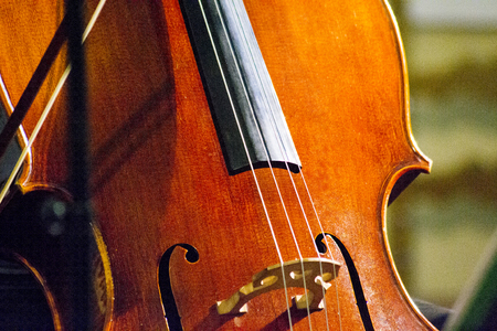Classical music professional cello solo performance, hands up close, unrecognizable personの写真素材