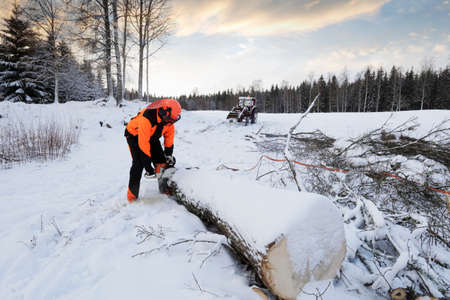 lumberjack cutting trees in snowy winter landscapeの写真素材