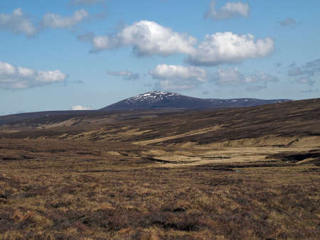 Scotland south east Cairngorms.       