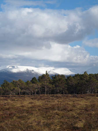 Cairngorms summits seen from Craigellachie national nature reserve, Scotland.の写真素材