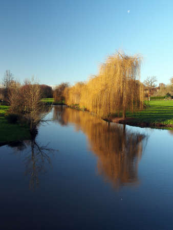 Trees reflections at dawn, Vonne river in Winter; France