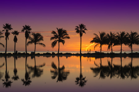 Sunrise in Miamiの写真素材