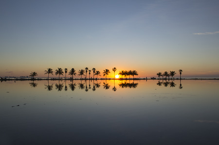 Sunrise in Miamiの写真素材